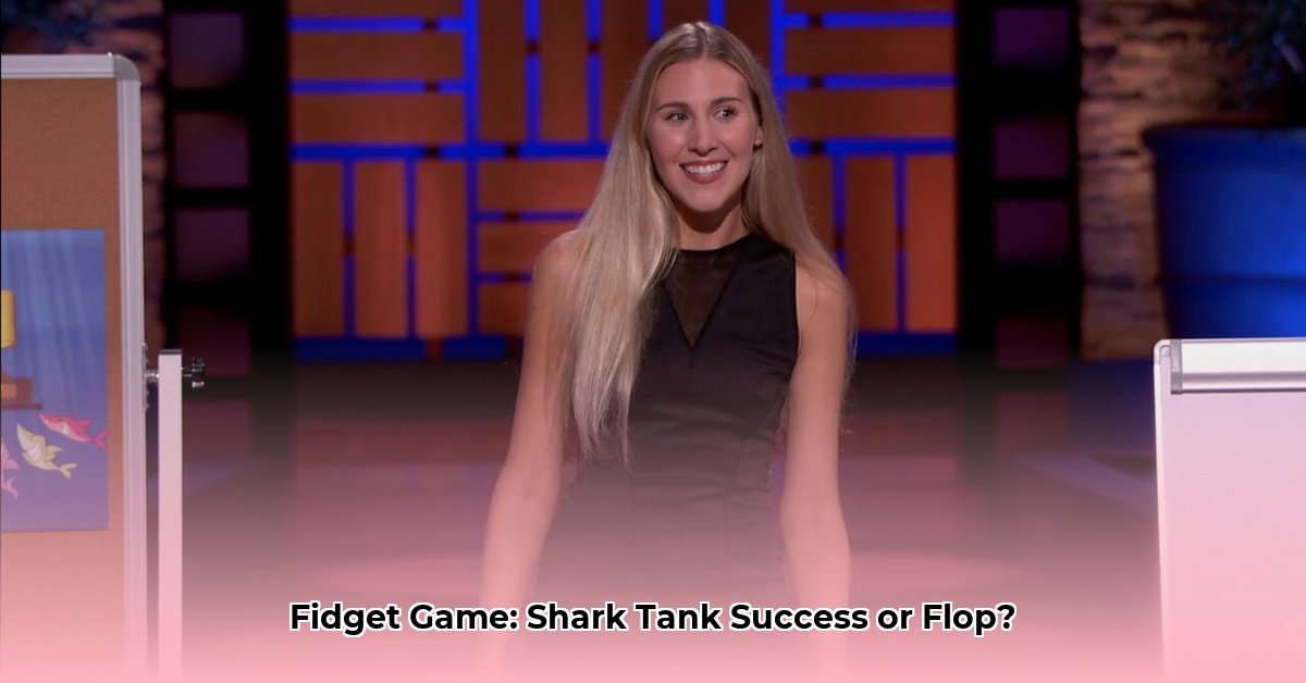 the-fidget-game-net-worth